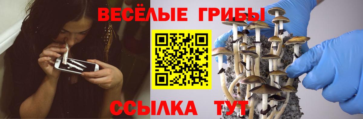Псилоцибиновые грибы мухоморы  Галлюциногенные грибы Cubensis  Богородицк  Вход с VPN 